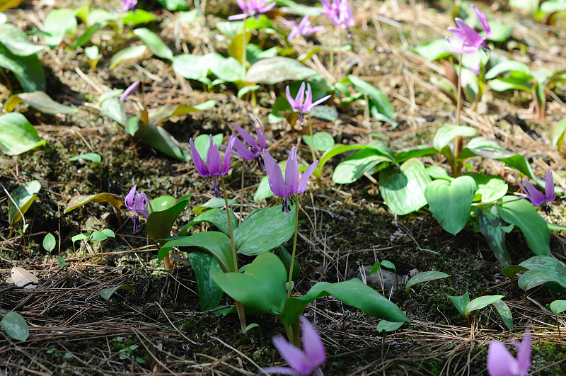 image0195