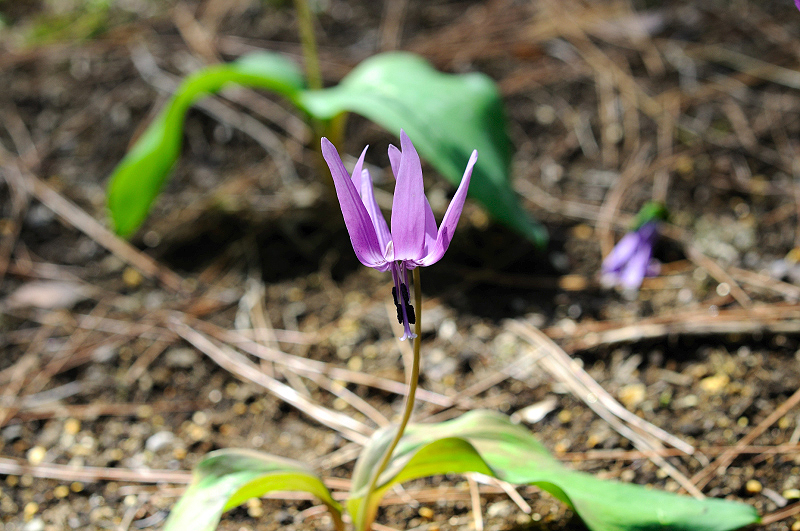 image0197