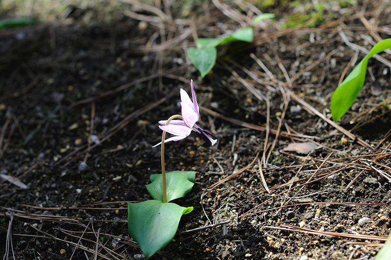 image0198
