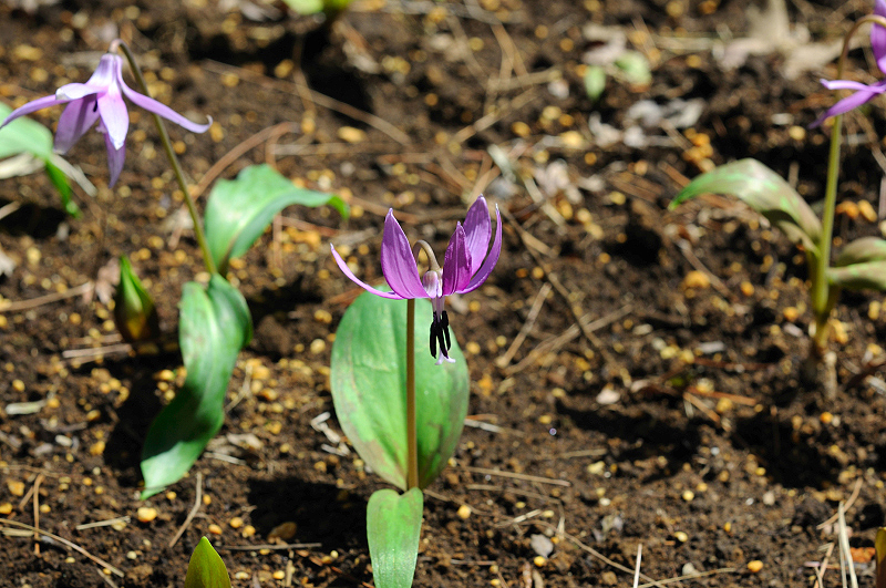 image0200