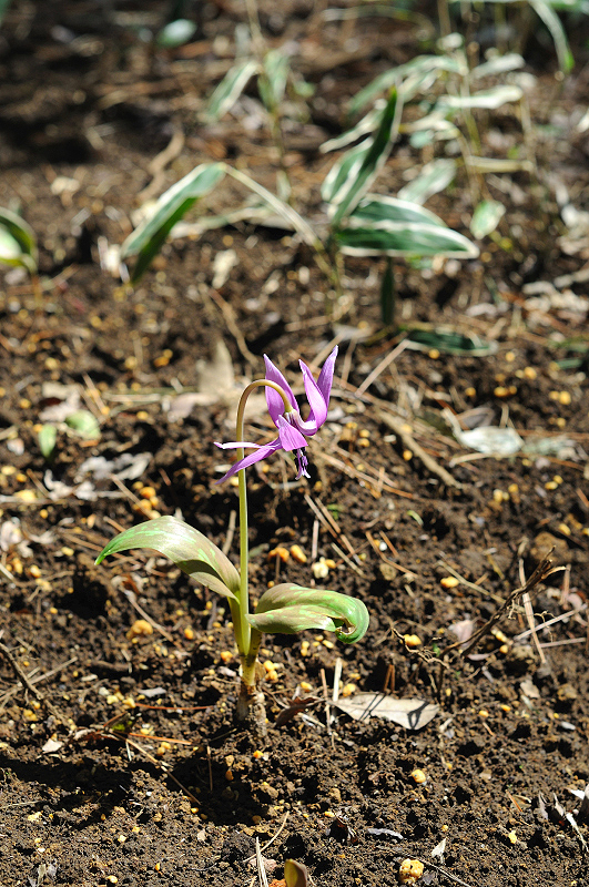 image0201