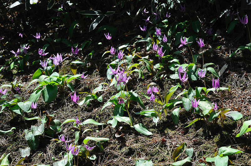 image0202