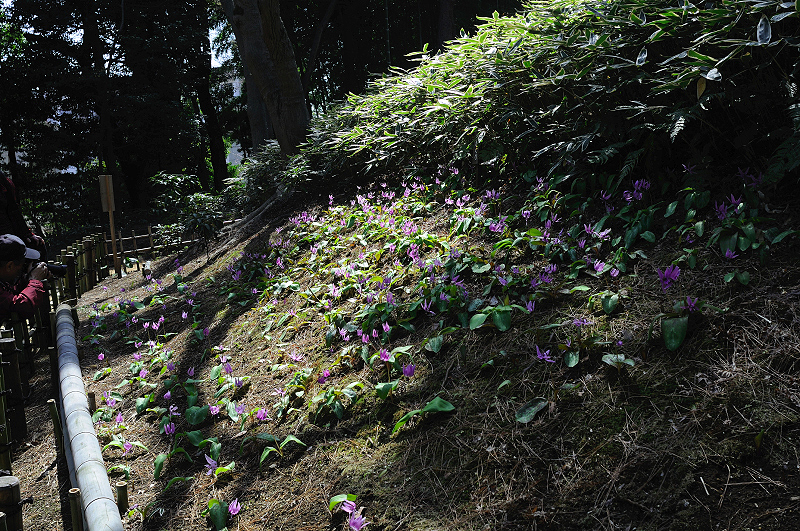 image0203