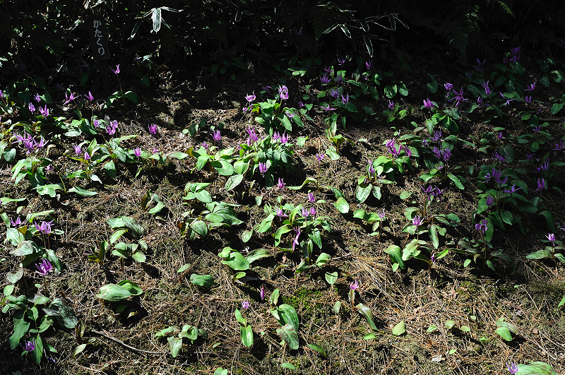 image0204