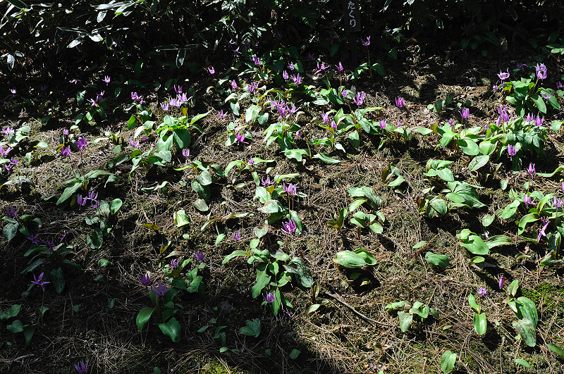 image0205