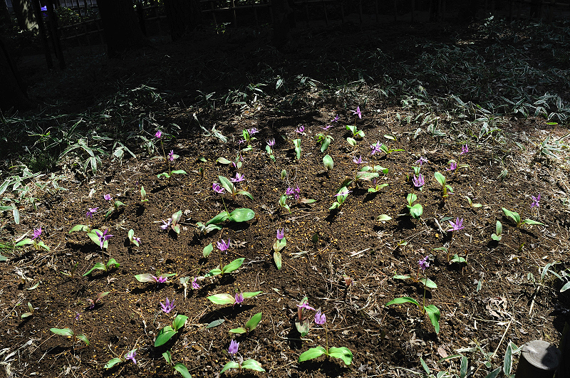 image0206
