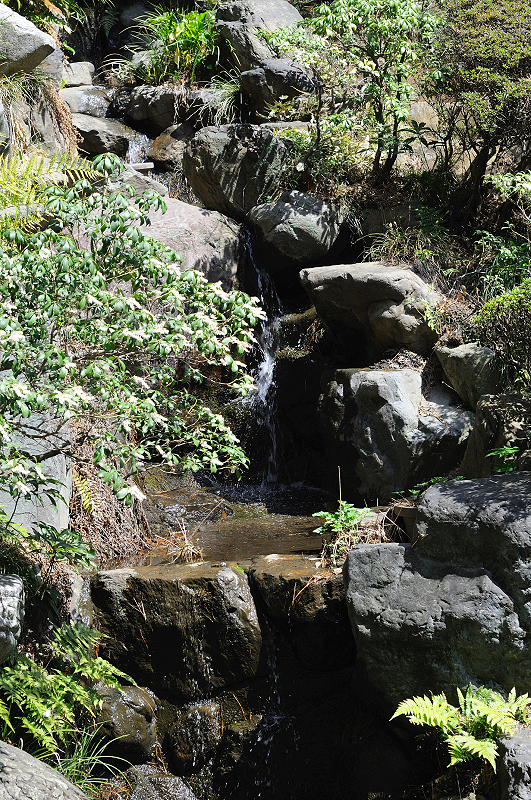 image0209
