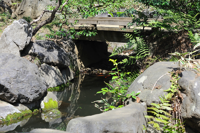 image0210