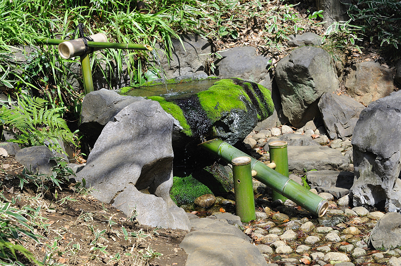 image0211