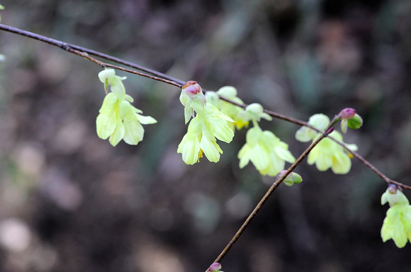 image0212