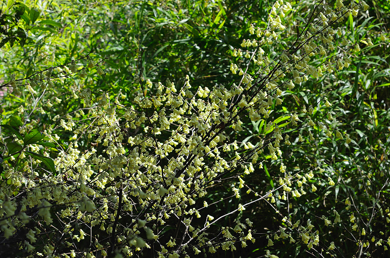 image0214