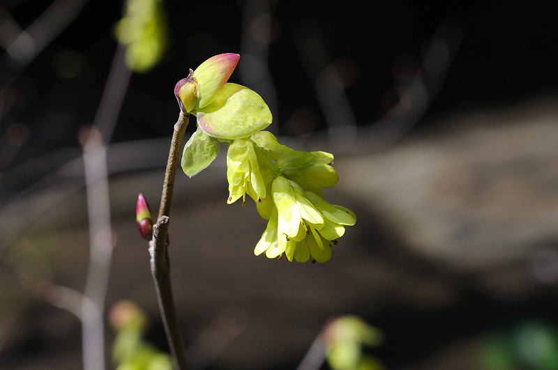 image0215