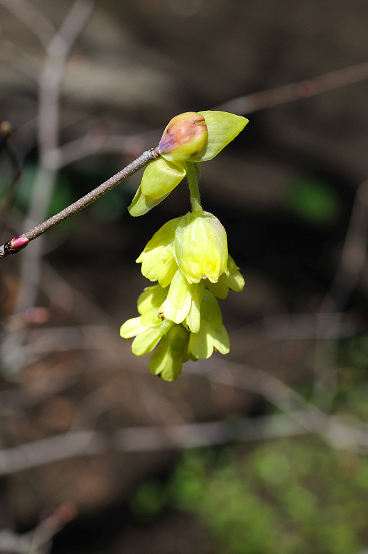image0217