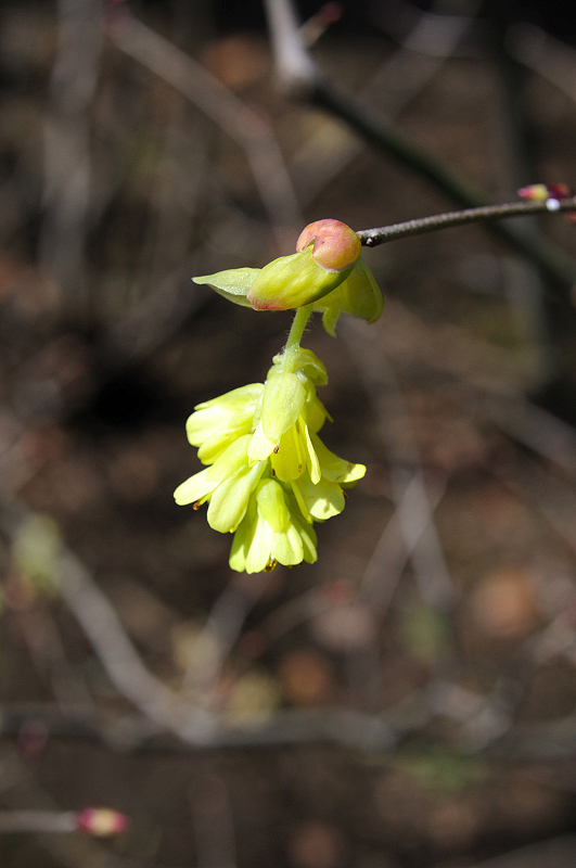 image0218