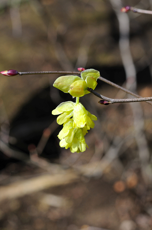 image0219