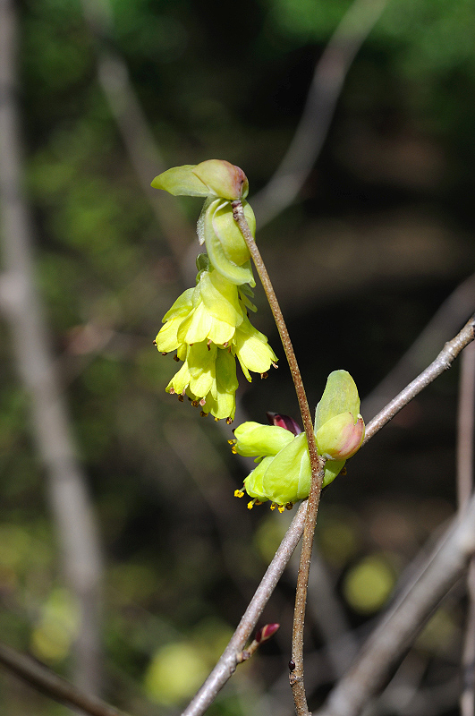 image0220