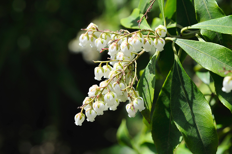 image0221
