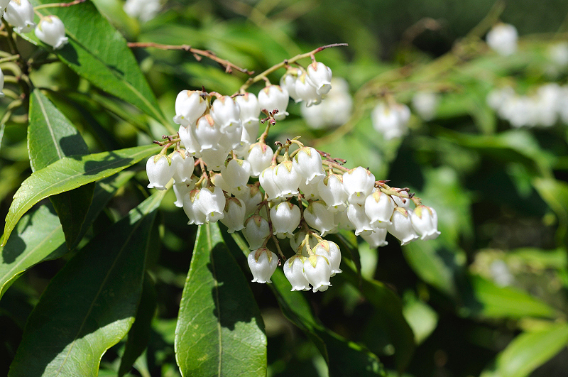image0222