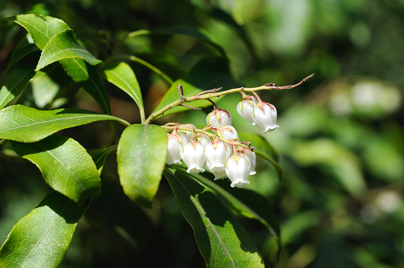 image0223