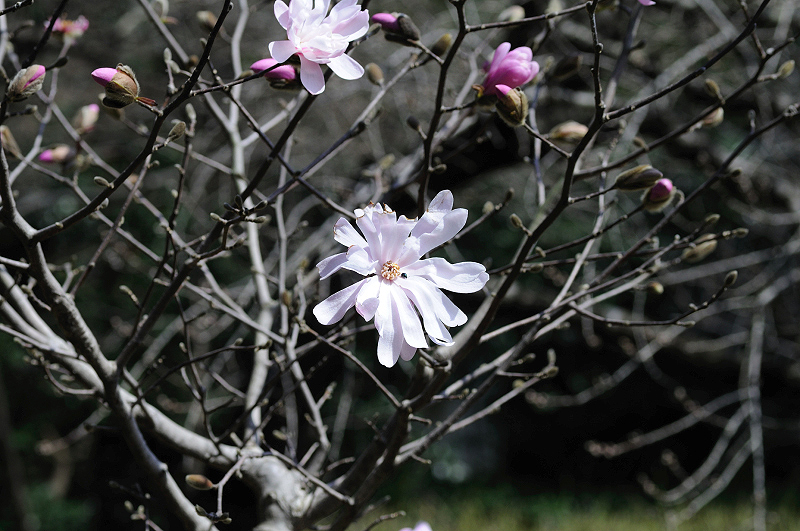 image0226