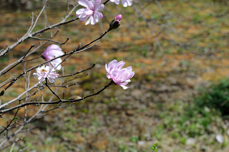 image0228