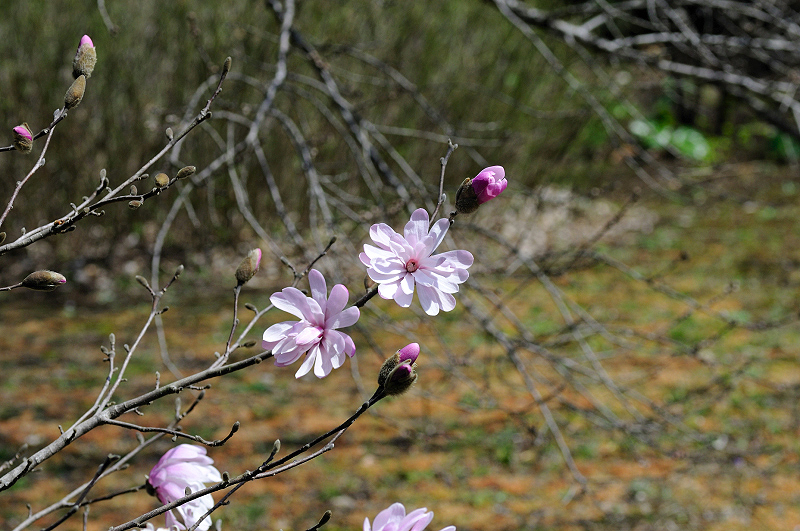 image0229