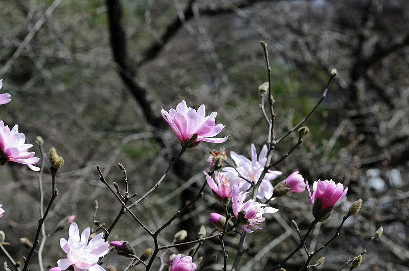 image0230