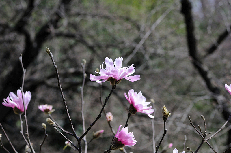 image0231