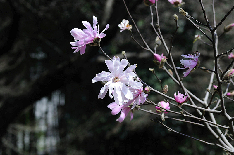 image0232