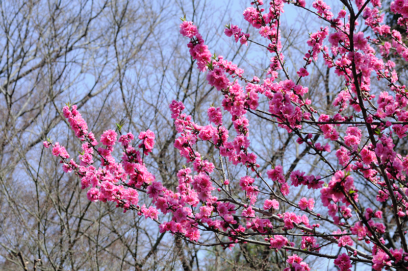 image0234