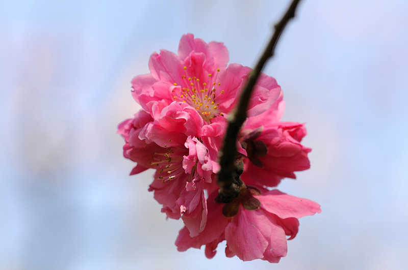 image0238