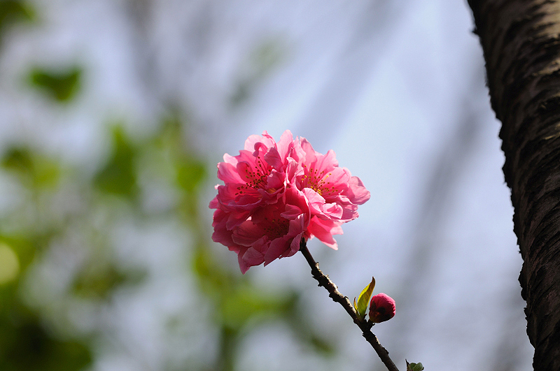 image0240