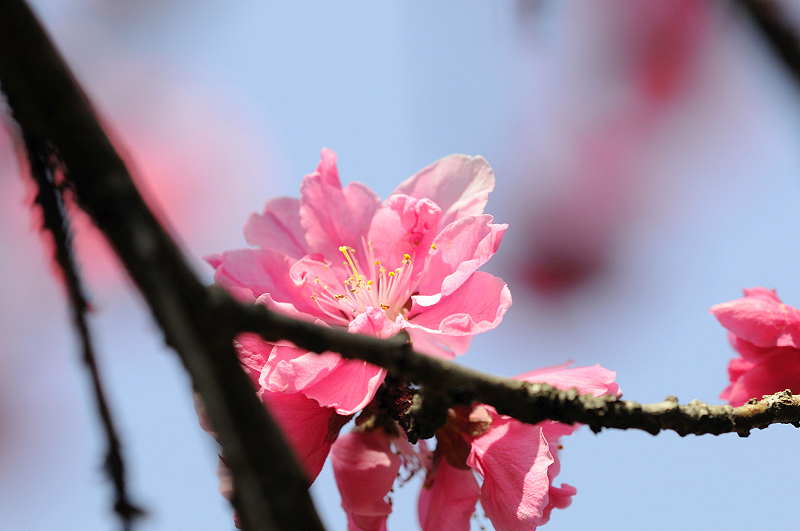 image0245