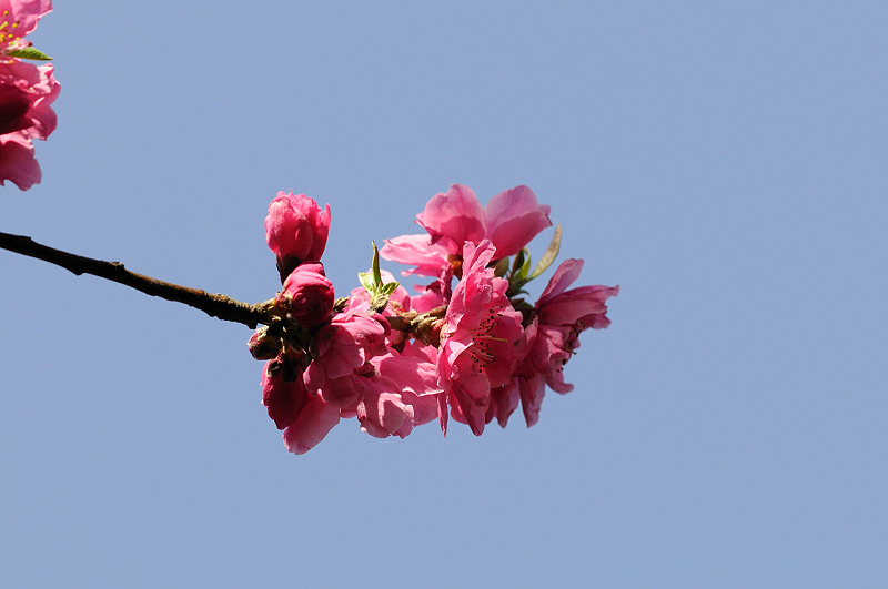 image0246