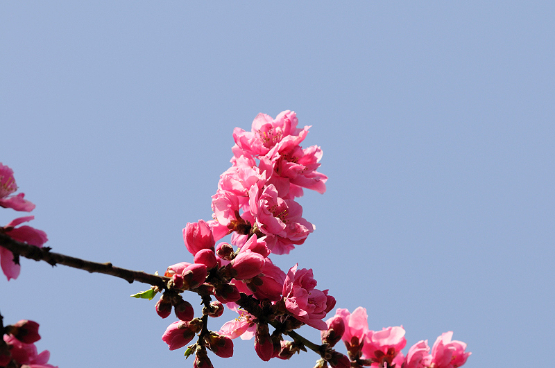 image0247