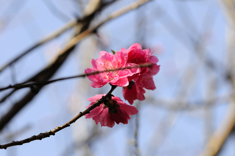 image0250