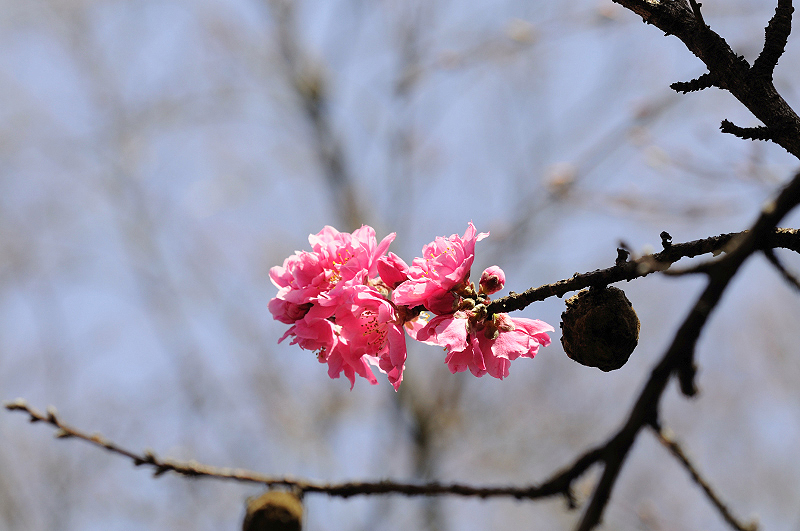 image0252