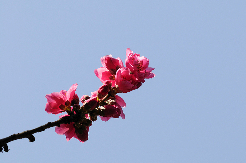 image0254