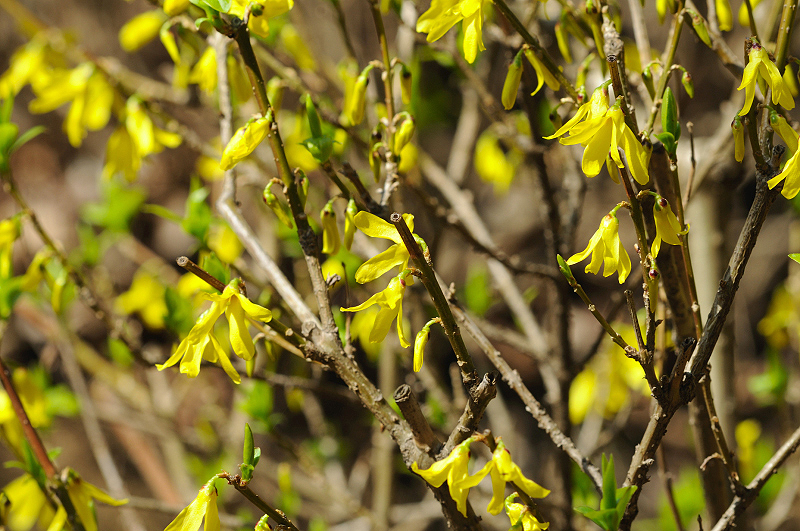 image0255