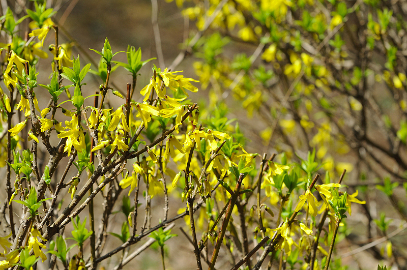 image0256