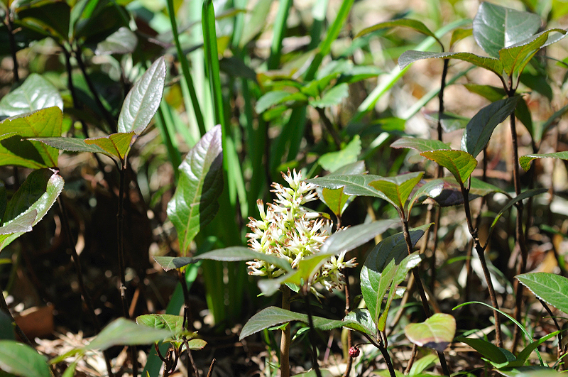 image0261