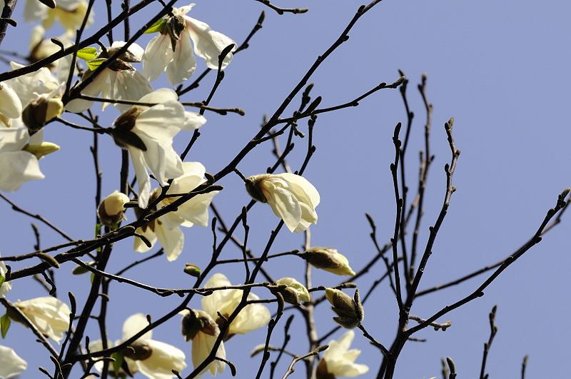 image0264