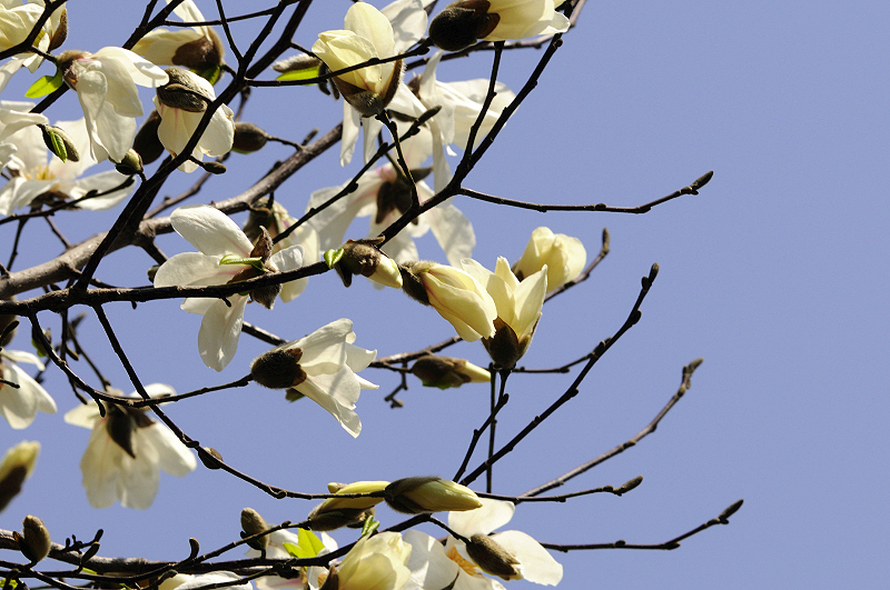 image0265