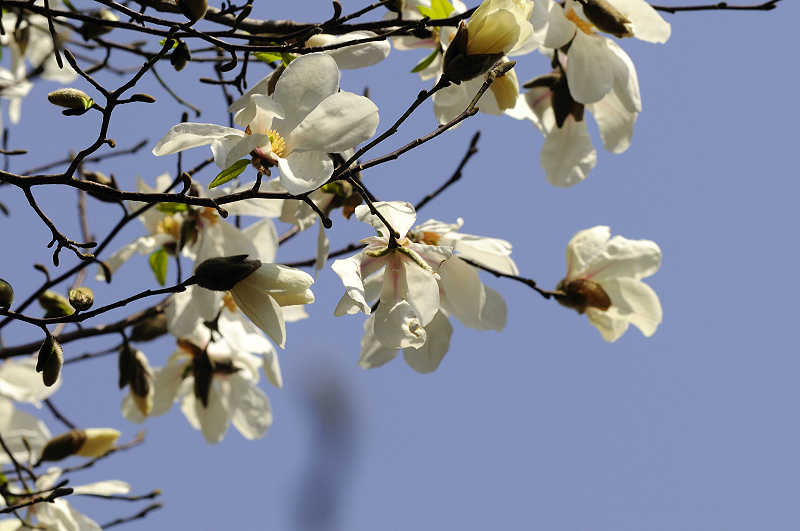 image0267