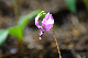 image0128