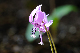 image0129