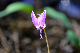image0130