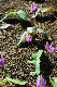 image0131