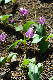 image0133