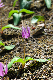 image0134